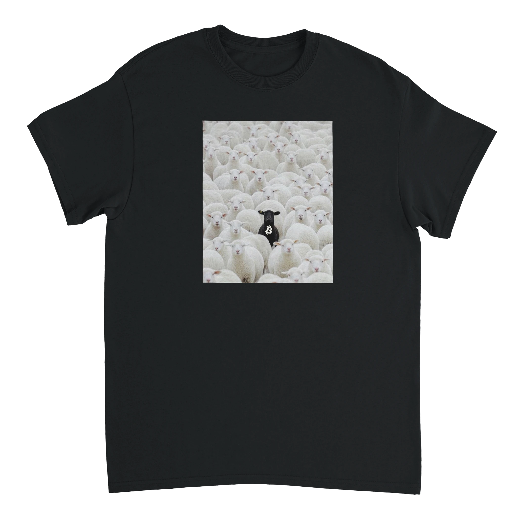 8ee25ab1-8a63-4ec4-9d48-91126c065e20